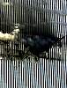 wtc35.jpg